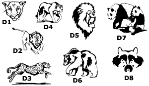 engraved rock zoo animals